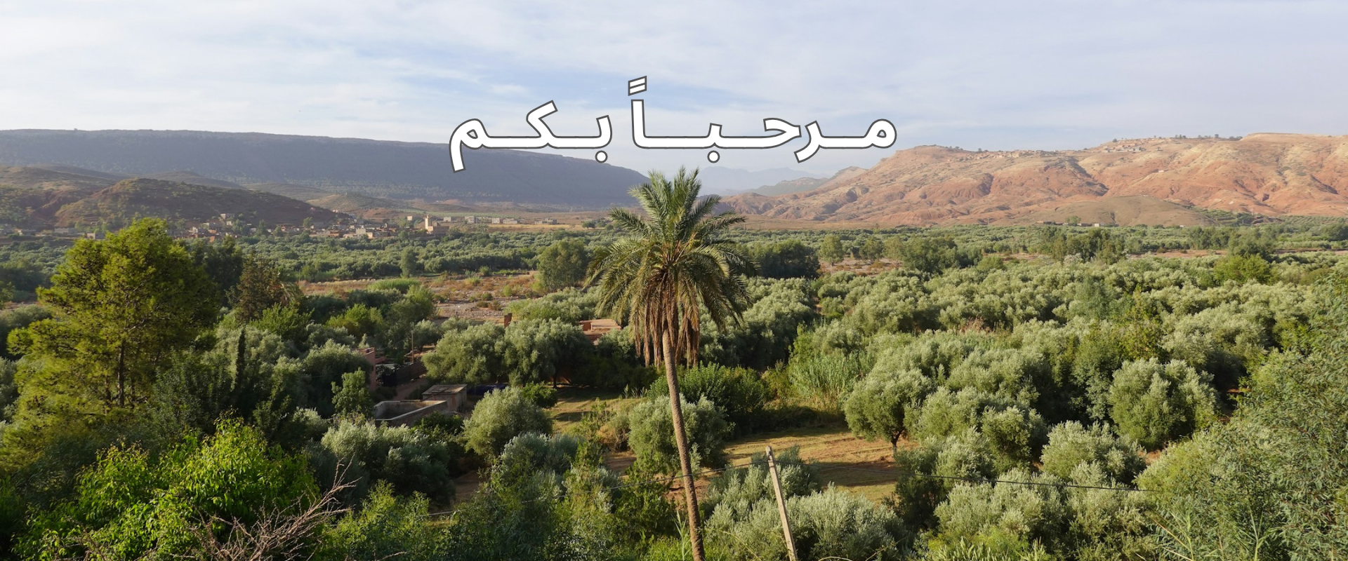 جمعية البيئة بالمدينة المنورة